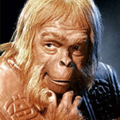 zaius